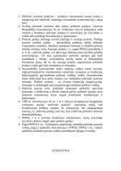 Politinė sistema ir jos samprata 11 puslapis