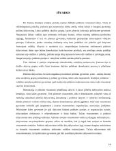 Politinės bendruomenės galios augimas ir politinio dalyvavimo racionalizacija 14 puslapis