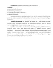 Politinės bendruomenės galios augimas ir politinio dalyvavimo racionalizacija 4 puslapis