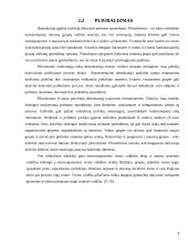 Politinės bendruomenės galios augimas ir politinio dalyvavimo racionalizacija 9 puslapis