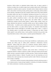 Politinės kultūros bruožai Lietuvoje 4 puslapis