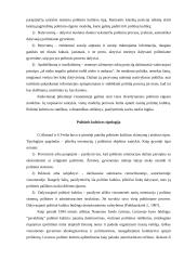 Politinės kultūros bruožai Lietuvoje 6 puslapis