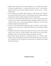 Politinės kultūros samprata ir raida 12 puslapis