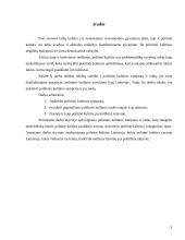 Politinės kultūros samprata ir raida 3 puslapis