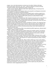 Politinės partijos 3 puslapis