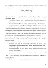 Politinės partijos: genezė, klasifikacija, funkcijos 8 puslapis