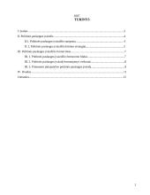 Politinės paslaugos įvaizdis ir jo formavimas 2 puslapis