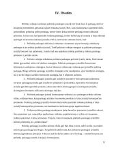 Politinės paslaugos įvaizdis ir jo formavimas 11 puslapis