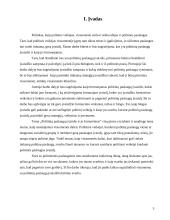 Politinės paslaugos įvaizdis ir jo formavimas 3 puslapis