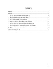 Politinio dalyvavimo esmė ir formos 2 puslapis