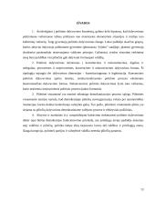 Politinio dalyvavimo esmė ir formos 13 puslapis