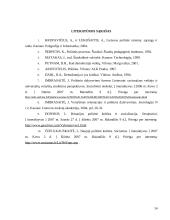 Politinio dalyvavimo esmė ir formos 14 puslapis