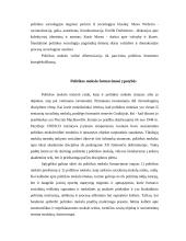 Politologijos samprata ir problematika 11 puslapis