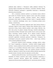 Politologijos samprata ir problematika 13 puslapis