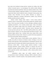 Politologijos samprata ir problematika 5 puslapis