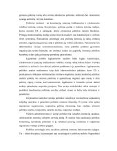 Politologijos samprata ir problematika 10 puslapis