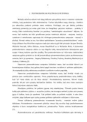 Postmodernizmas kaip teorinė doktrina 7 puslapis