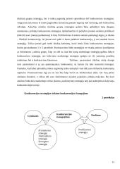 Pozicionavimas ir gera prekyba 13 puslapis