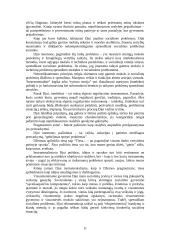 Pragmatizmas 11 puslapis