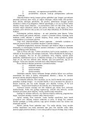 Pragmatizmas 4 puslapis