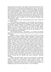 Pragmatizmas 7 puslapis