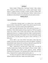Praktikos darbas: L. Pilipavičienės IĮ 4 puslapis