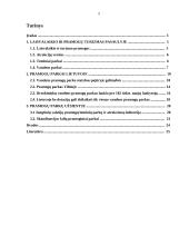 Pramogų parkų reikšmė valstybei 2 puslapis