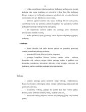 Pramogų parkų reikšmė valstybei 13 puslapis