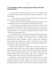 Pramogų parkų reikšmė valstybei 16 puslapis