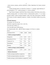 Pramogų parkų reikšmė valstybei 17 puslapis