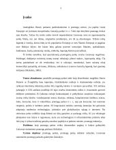 Pramogų parkų reikšmė valstybei 3 puslapis