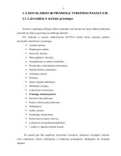 Pramogų parkų reikšmė valstybei 5 puslapis