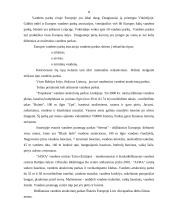 Pramogų parkų reikšmė valstybei 8 puslapis