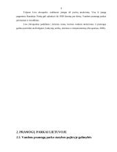 Pramogų parkų reikšmė valstybei 9 puslapis