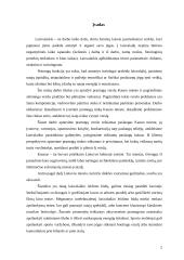 Pramogų rinka Kaune 2 puslapis