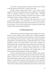 Pramogų rinka Kaune 12 puslapis