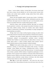 Pramogų rinka Kaune 3 puslapis