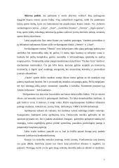 Pramogų rinka Kaune 7 puslapis