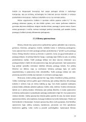 Pramogų rinka Kauno mieste: situacijos analizė 13 puslapis