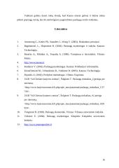 Pramogų rinka Kauno mieste: situacijos analizė 16 puslapis