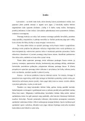 Pramogų rinka Kauno mieste: situacijos analizė 3 puslapis