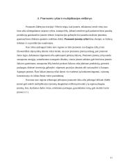 Pramonės centrų išdėstymo principai 11 puslapis