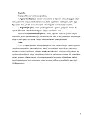 Pramonės centrų išdėstymo principai 8 puslapis