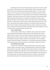 Pramonės centrų išdėstymo principai 10 puslapis