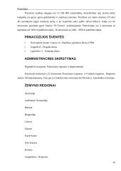 Prancūzijos prezidentinė respublika 20 puslapis