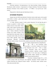 Prancūzijos prezidentinė respublika 5 puslapis
