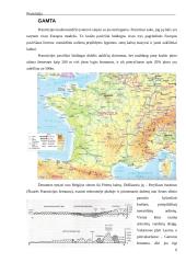 Prancūzijos prezidentinė respublika 6 puslapis