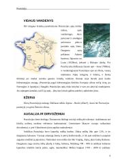 Prancūzijos prezidentinė respublika 9 puslapis
