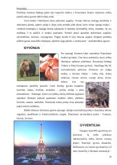 Prancūzijos prezidentinė respublika 10 puslapis