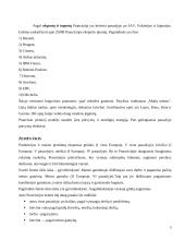 Prancūzijos ekonomika 5 puslapis